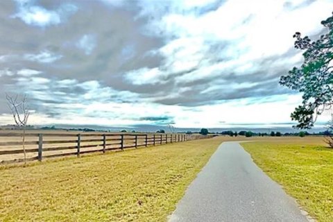 Terreno en venta en Wildwood, Florida № 292848 - foto 7