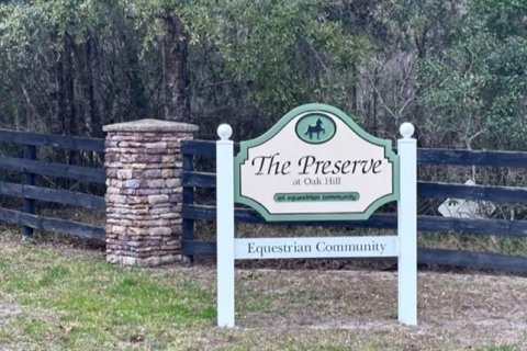 Terreno en venta en Wildwood, Florida № 292848 - foto 11