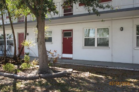 Condo in Saint Petersburg, Florida, 2 bedrooms № 2143169