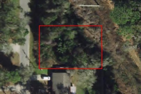 Land in Inverness, Florida № 2159252 - photo 6