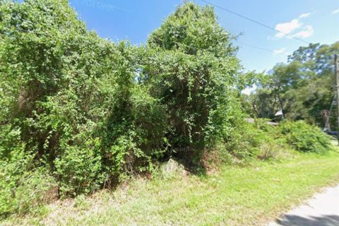 Land in Inverness, Florida № 2159252 - photo 5