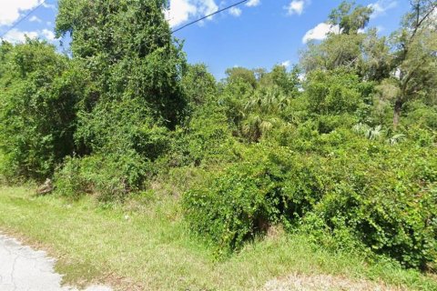 Land in Inverness, Florida № 2159252 - photo 4