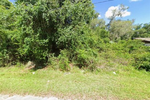 Land in Inverness, Florida № 2159252 - photo 2
