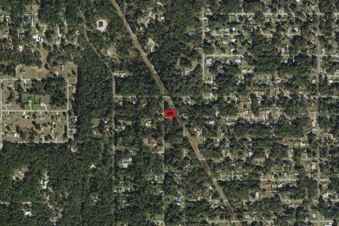 Land in Inverness, Florida № 2159252 - photo 8