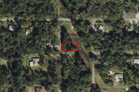 Land in Inverness, Florida № 2159252 - photo 7