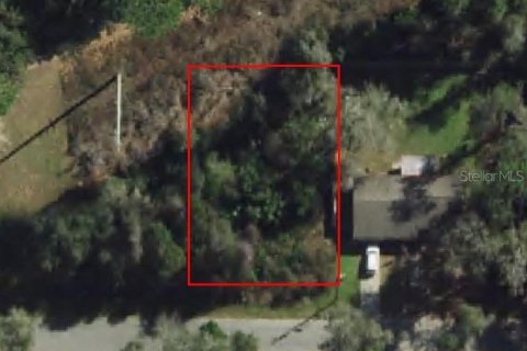 Land in Inverness, Florida № 2159252 - photo 3