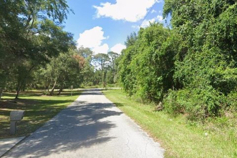 Land in Inverness, Florida № 2159252 - photo 9