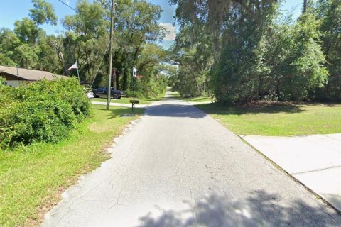 Land in Inverness, Florida № 2159252 - photo 10