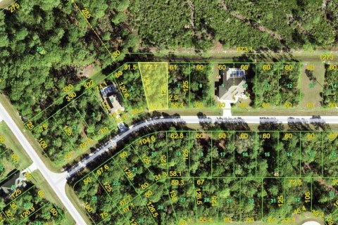 Land in Rotonda, Florida № 2165802 - photo 2