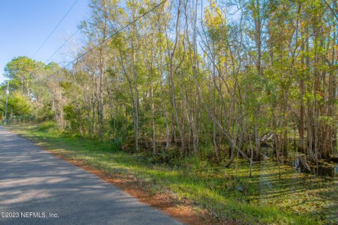 Land in Saint Augustine, Florida № 872969 - photo 1