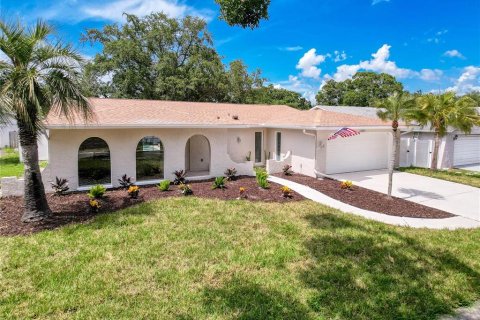 Villa ou maison à vendre à Tarpon Springs, Floride: 3 chambres, 209.31 m2 № 1894745 - photo 1