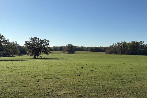 Terreno en venta en Brooksville, Florida № 1582281 - foto 6