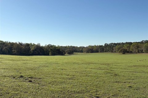 Terreno en venta en Brooksville, Florida № 1582281 - foto 11