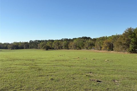 Terreno en venta en Brooksville, Florida № 1582281 - foto 12