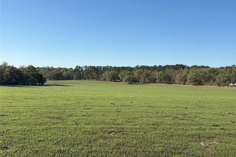 Terreno en venta en Brooksville, Florida № 1582281 - foto 8