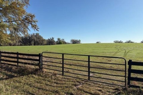 Terreno en venta en Brooksville, Florida № 1582281 - foto 21