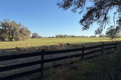 Terreno en venta en Brooksville, Florida № 1582281 - foto 14