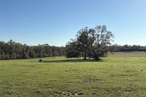 Terreno en venta en Brooksville, Florida № 1582281 - foto 5