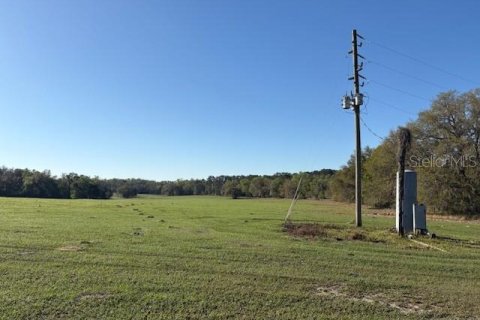 Terreno en venta en Brooksville, Florida № 1582281 - foto 19