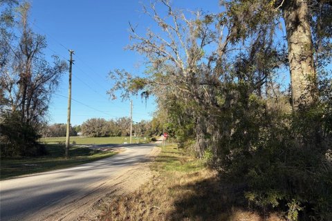 Terreno en venta en Brooksville, Florida № 1582281 - foto 18