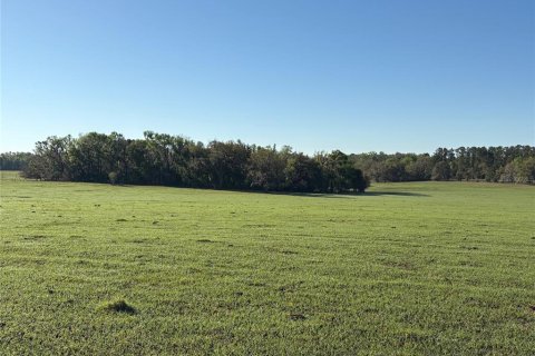 Terreno en venta en Brooksville, Florida № 1582281 - foto 9