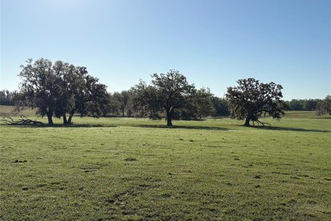 Terreno en venta en Brooksville, Florida № 1582281 - foto 7