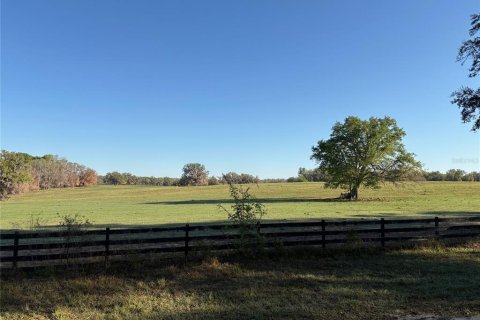 Terreno en venta en Brooksville, Florida № 1582281 - foto 13