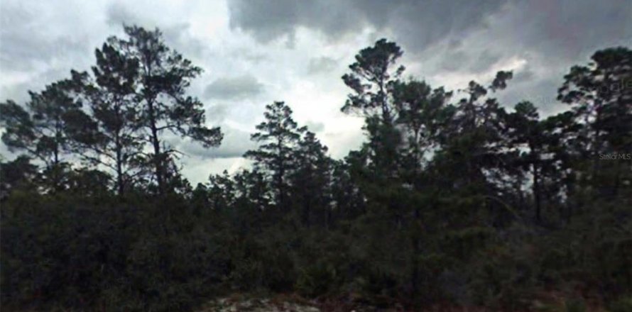 Terrain à Sebring, Floride № 2230339