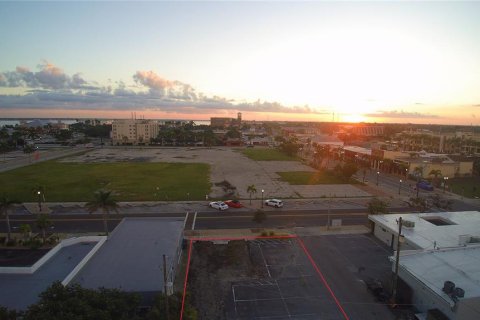 Land in Punta Gorda, Florida № 1909173 - photo 8