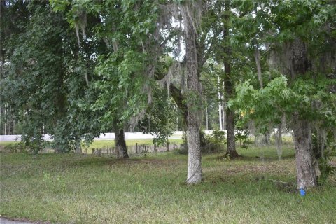 Land in Wildwood, Florida № 2275513
