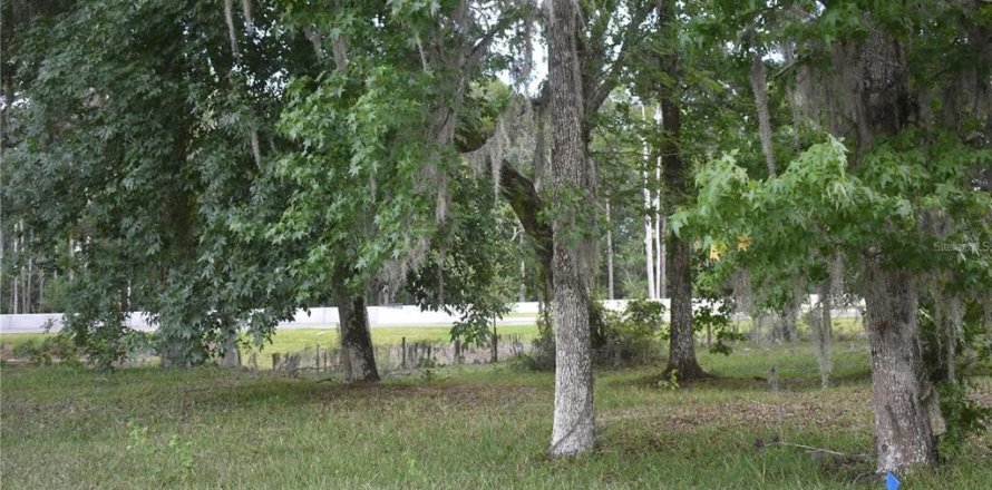 Land in Wildwood, Florida № 2275513