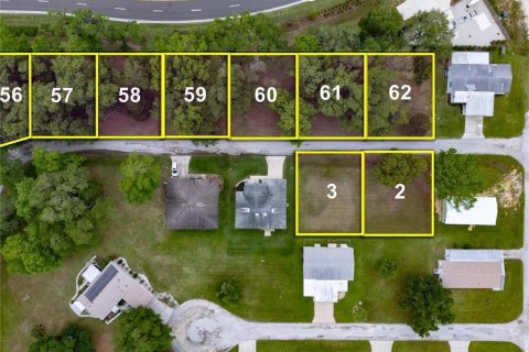 Land in Wildwood, Florida № 2275513 - photo 2