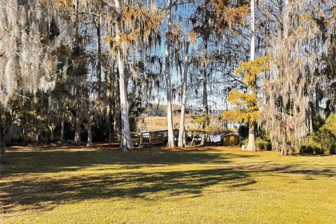 House in Hernando, Florida 4 bedrooms, 322.93 sq.m. № 2232851 - photo 29