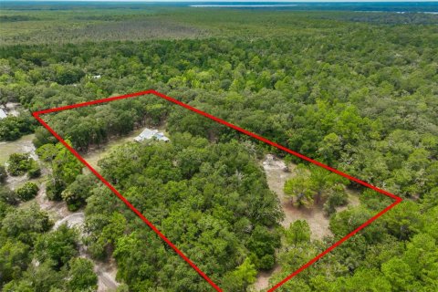 Villa ou maison à vendre à Bunnell, Floride: 3 chambres, 153.94 m2 № 2236034 - photo 3