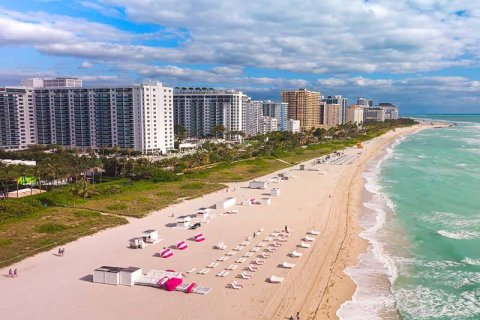 How growing petroleum prices affect tourism in South Florida