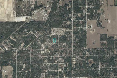 Land in Bronson, Florida № 2379509 - photo 3