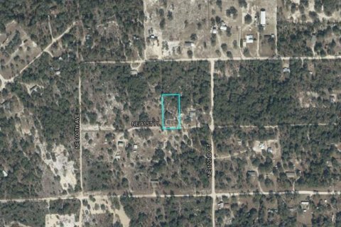 Land in Bronson, Florida № 2379509 - photo 2