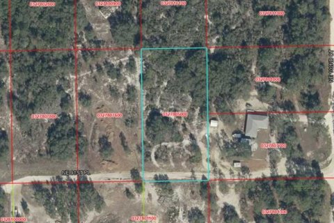 Land in Bronson, Florida № 2379509