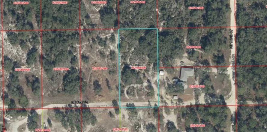 Land in Bronson, Florida № 2379509