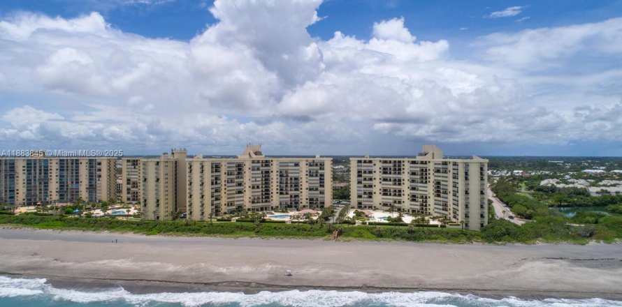 Кондоминиум с 2 спальнями в Юпитер, Флорида № 1930606