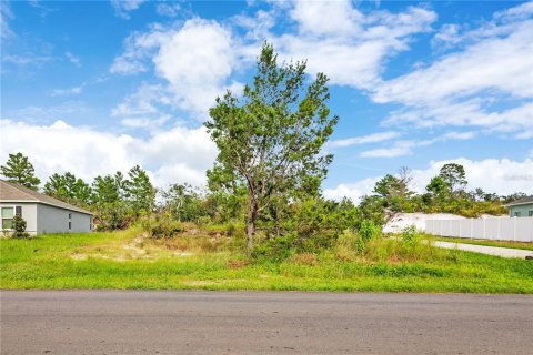 Land in Poinciana, Florida № 2383331 - photo 4