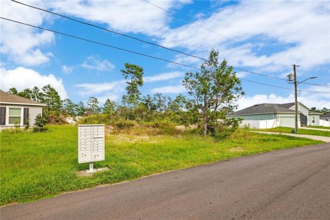 Land in Poinciana, Florida № 2383331 - photo 5