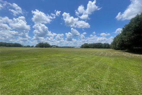 Land in Bunnell, Florida № 2329458