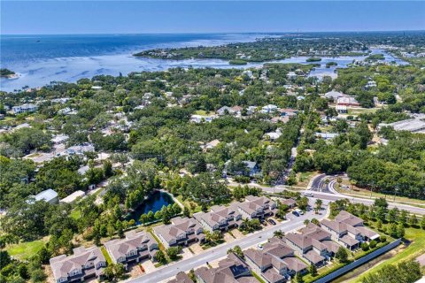 Townhouse in Palm Harbor, Florida 3 bedrooms, 215.9 sq.m. № 2157501 - photo 30