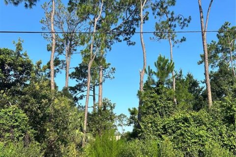 Terreno en venta en Palm Coast, Florida № 2150556 - foto 3
