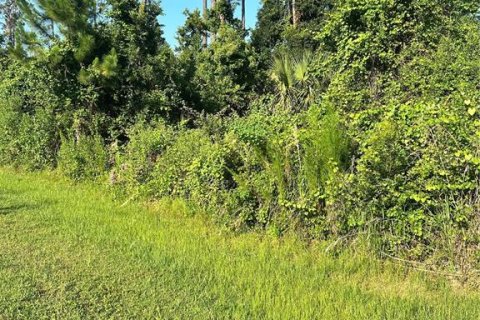 Terreno en Palm Coast, Florida № 2150556