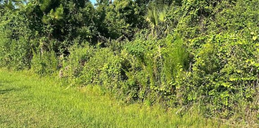 Terreno en Palm Coast, Florida № 2150556