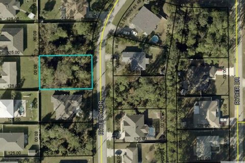 Terreno en venta en Palm Coast, Florida № 2150556 - foto 7