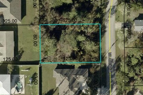Terreno en venta en Palm Coast, Florida № 2150556 - foto 2