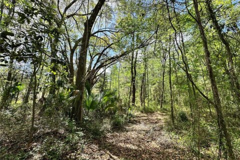 Terrain à Ocala, Floride № 2233088